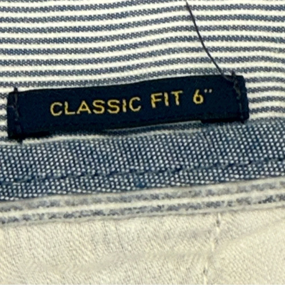 Polo by Ralph Lauren Mens‎ Blue White Striped Classic Fit Size 40 Shorts